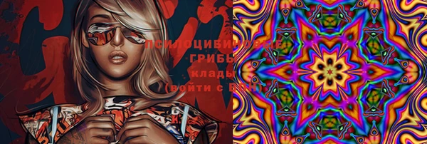 МДПВ Белокуриха