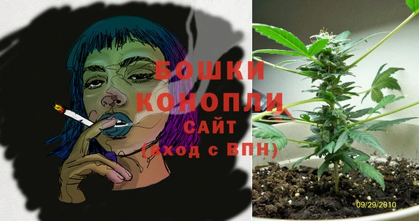 ГАЛЛЮЦИНОГЕННЫЕ ГРИБЫ Беломорск