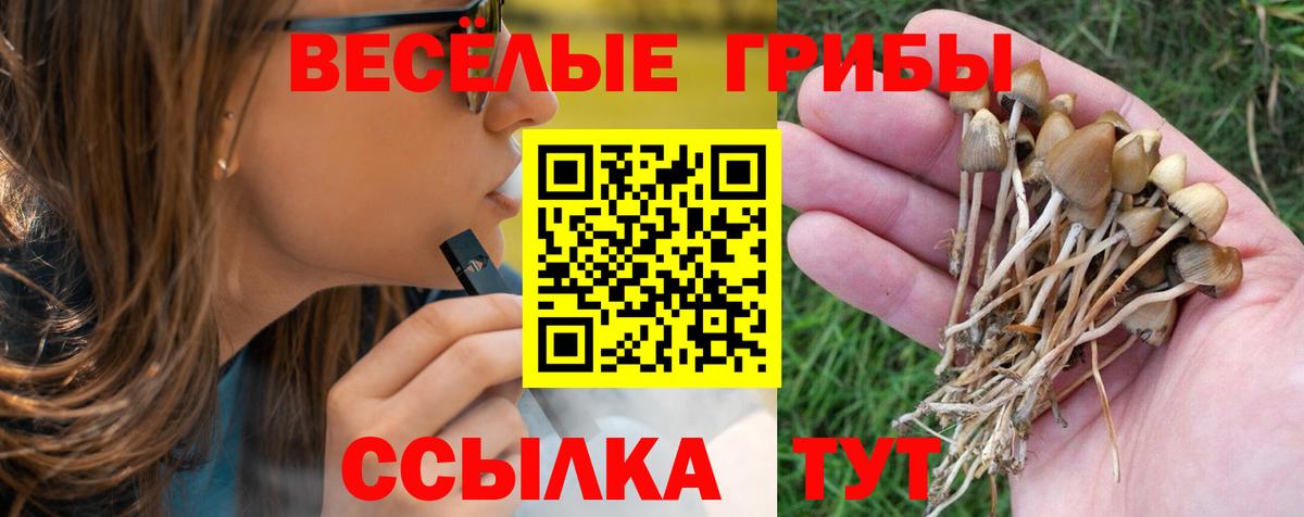 Галлюциногенные грибы мицелий Кушва