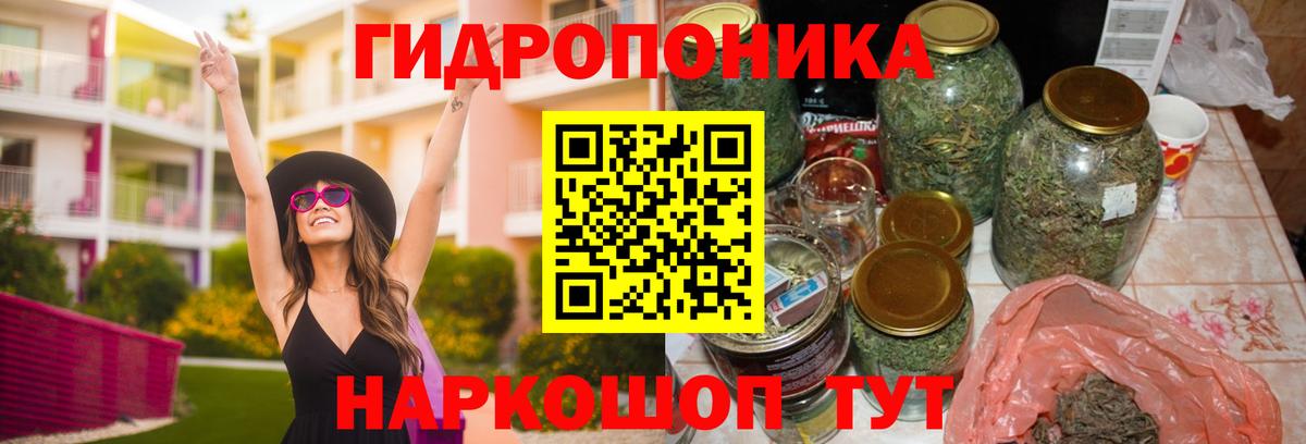 Канабис Кушва